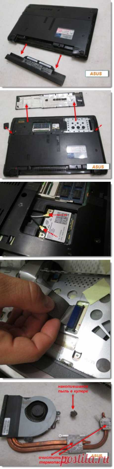 Как разобрать и почистить ноутбук самостоятельно