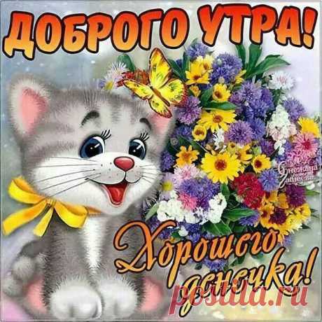 Доброго утра и хорошего денька открытка Утренний веселый позитив гифы