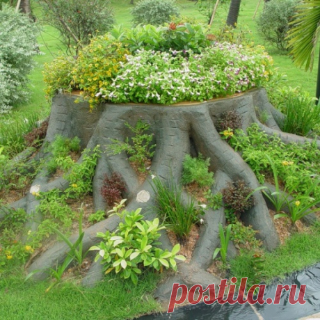 ДАЧНЫЕ ИДЕИ УКРАШЕНИЯ УЧАСТКА