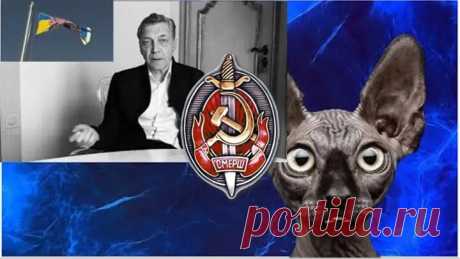 Какой СМЕРШ ! Только ШПОК! _ Кот Костян