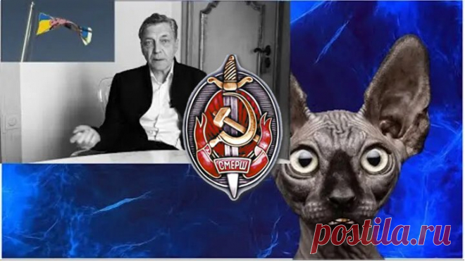 Какой СМЕРШ ! Только ШПОК! _ Кот Костян