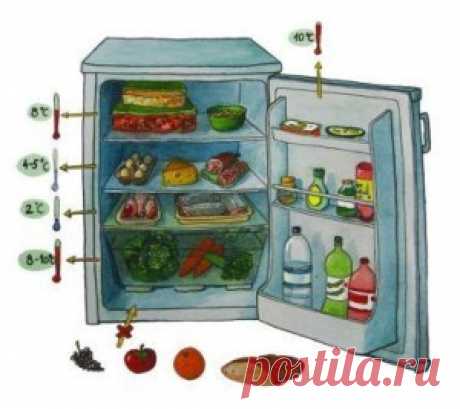Хранение продуктов в холодильнике.  | Женский Рай
