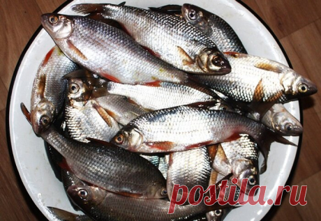 Волжский рецепт засолки воблы. Вкуснее сложно что-то придумать | MASTER-FISHER.RU | Яндекс Дзен