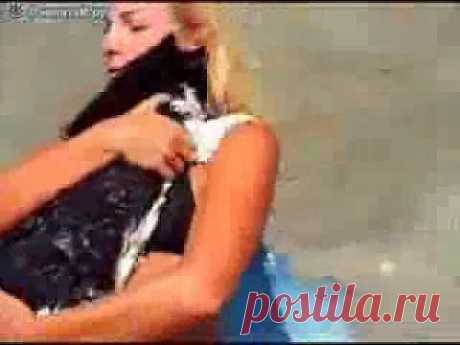 (+1) комм - Пловцы | ОБОРЖАКА ;)