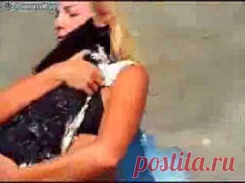 (+1) комм - Пловцы | ОБОРЖАКА ;)