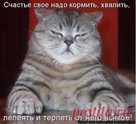 Счастье свое хвостатое надо кормить и хвалить...
