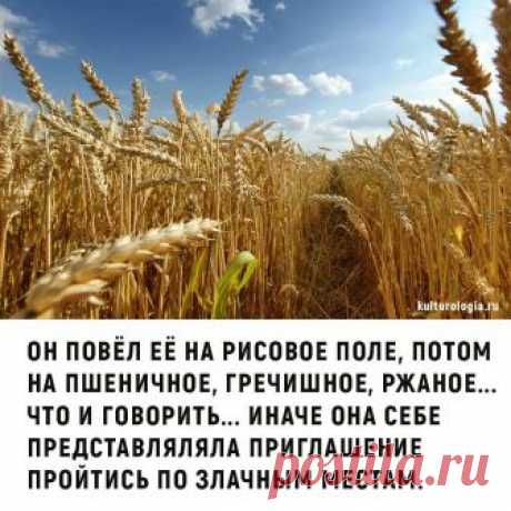 (1) Pics.ru - Главная