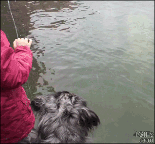 s-23886.gif (319×297)