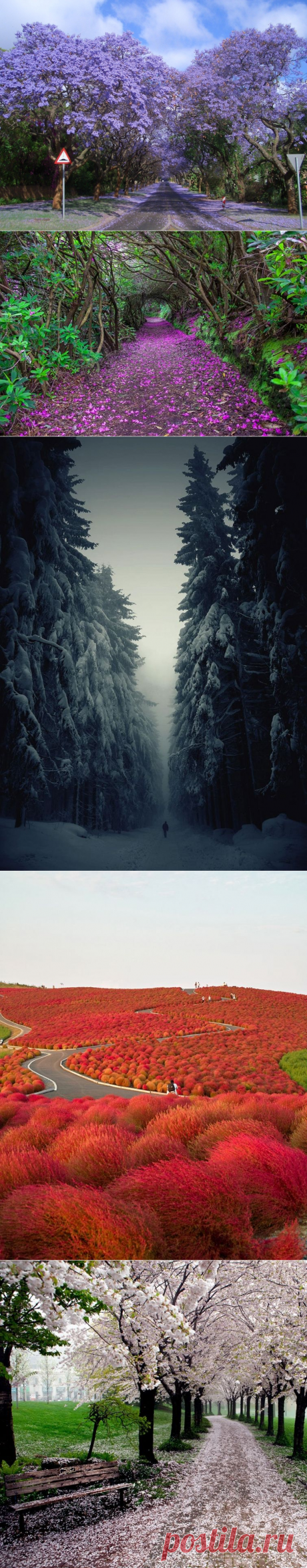 Вдохновляющие виды, способные заворожить любого путника