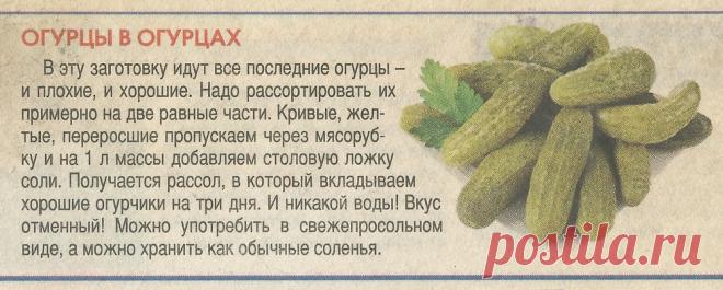 Огурцы в огурцах