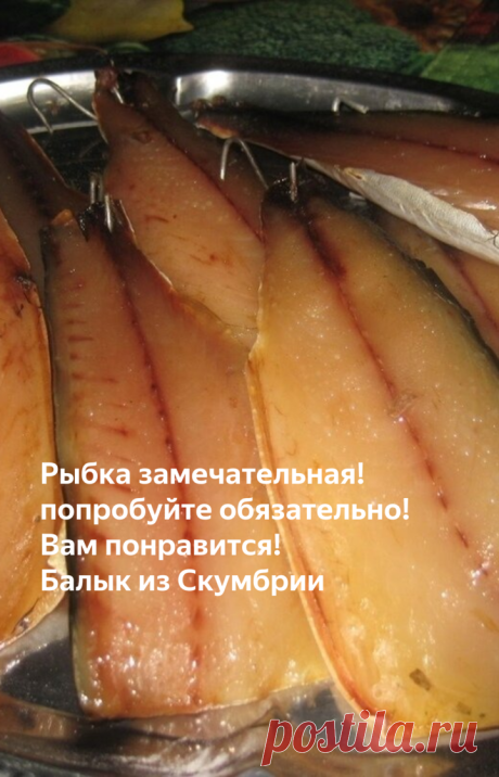 Рыбка замечательная! попробуйте обязательно! Вам понравится! Балык из Скумбрии | Антон Тимофрюк | Яндекс Дзен