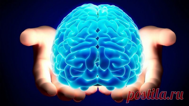Наш мозг имеет способность изменяться, восстанавливаться и даже излечиваться в любом возрасте