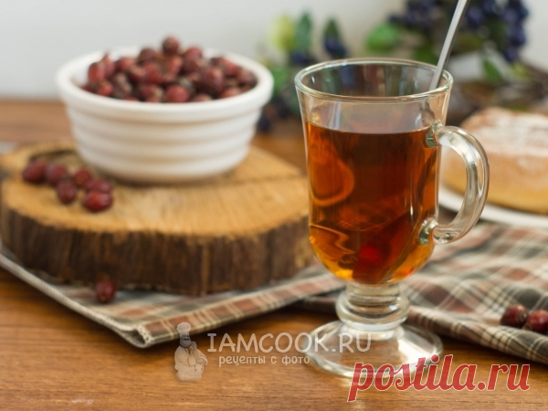 Чай из шиповника