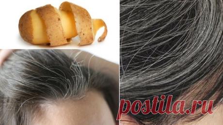 Картофель против седины | Дачные советы | Яндекс Дзен