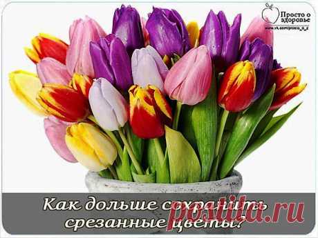 Как дольше сохранить срезанные цветы?.