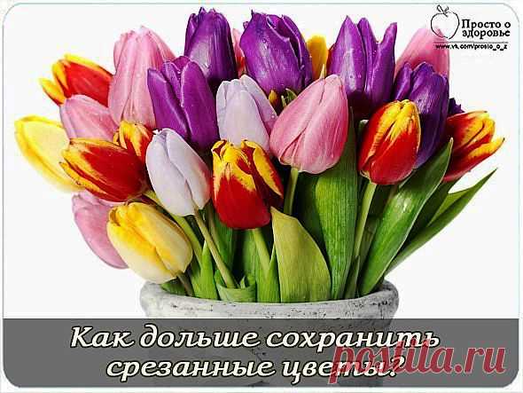 Как дольше сохранить срезанные цветы?.
