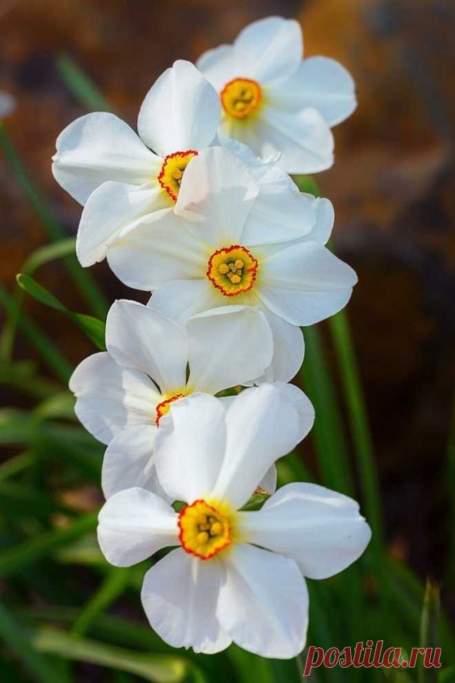i (720×1080)