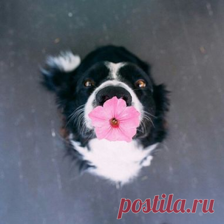 Это вам.))))
