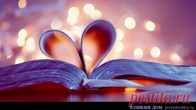 Любовный гороскоп на апрель 2017 | Кошкин дом Апрель – самый разгар весны, все цветет и благоухает приятными ароматами, хочется любви и новых отношений. Но как обстоит дело с расположением планет в этом месяце? Будут ли они удачны для завязывания отношений? К сожалению, в этом месяце положение Венеры будет не самым удачным для хорошего развития событий в любовной сфере. Планета любви сейчас будет …