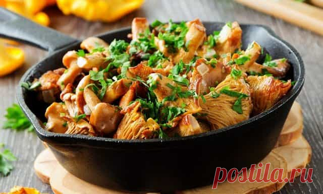Что можно приготовить из свежих лесных грибов: 11 быстрых и вкусных рецептов Сходил в лесок, набрал свежих грибов. Что можно приготовить из них? Тут нашёл 10+ рецептов традиционных и необычных блюд из лесных грибов. А так ведь с грибами много чего можно сделать