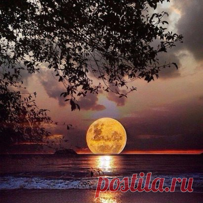 Одноклассники