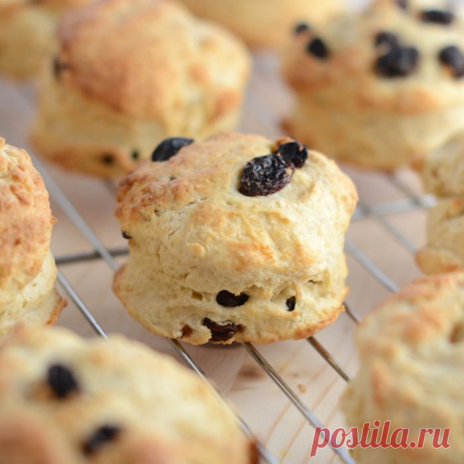 Scones (The Perfect Afternoon Tea Treat) | Charlotte's Lively Kitchen