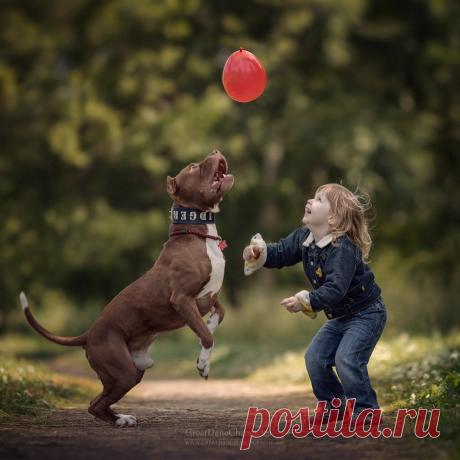 ST. BERNARD. Фотограф Андрей Селиверстов