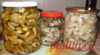 Самый вкусный рецепт маринования грибов! Вкус изумительный, ничего лишнего! Кто бы ни пробовал — просят рецепт!
