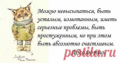 Абсолютное счастье