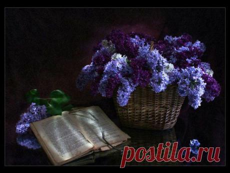 Стена Нельзя вырвать ни одну страницу из книги своей жизни.