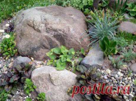 3 главных правила создания рокария