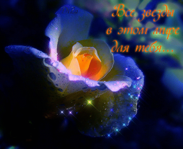 Доброй ночи!!!