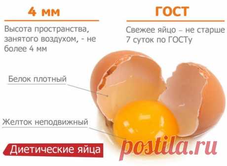 Как проверить яйца на свежесть – способы и видео, тухлое или нет? Мы сегодня расскажем про способы, как проверить яйца на свежесть – тухлое яйцо или нет? Яйца являются источником белка, витамина А и рибофлавина, диетологи