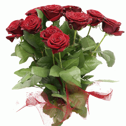 ROSE GARDEN – Сообщество – Google+