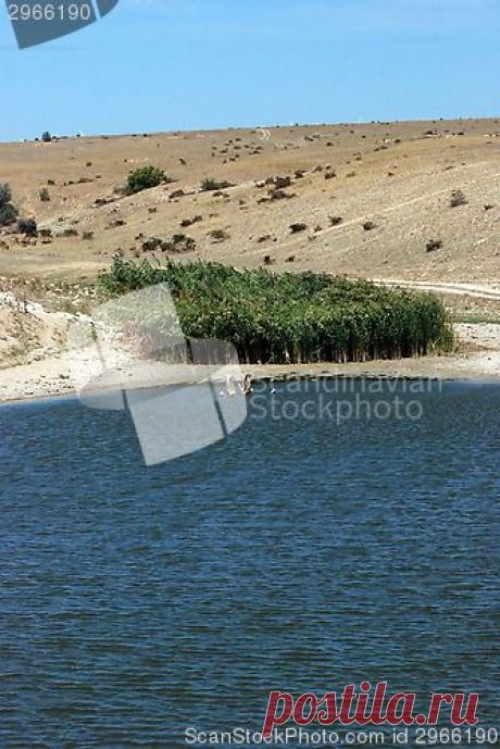 ScandinavianStockPhoto.com