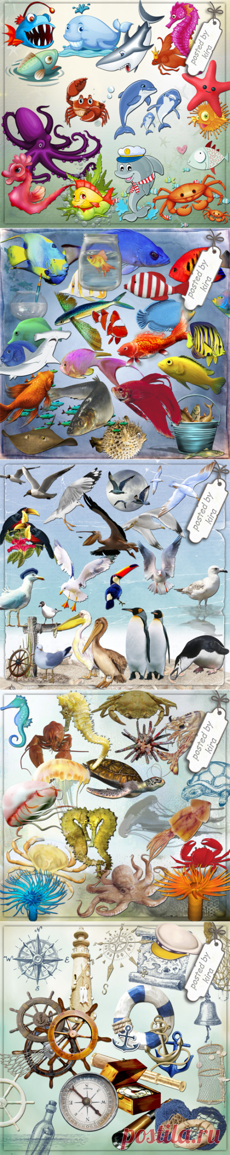 Подборки по морской тематике - Подборки - Кира-скрап - клипарт и рамки на прозрачном фоне