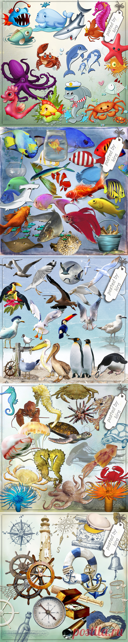 Подборки по морской тематике - Подборки - Кира-скрап - клипарт и рамки на прозрачном фоне