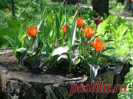 Фотографии на стене сообщества | 791 фотография | ВКонтакте