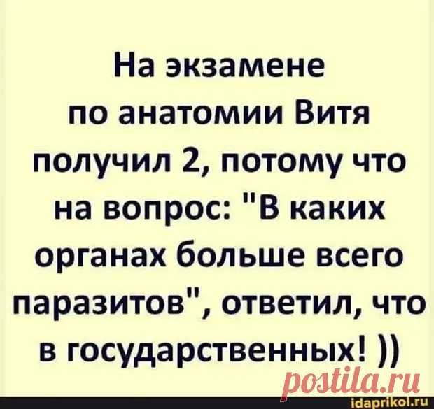 Как говаривала Фаина Раневская: - Если мужчина нравится, покажите ему всё на что вы способны!... Выдержит - значит это ваш мужчина! - РЖАКА - 19 марта - 43052770519 - Медиаплатформа МирТесен