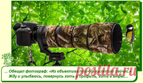 Хорошего Вам настроения.