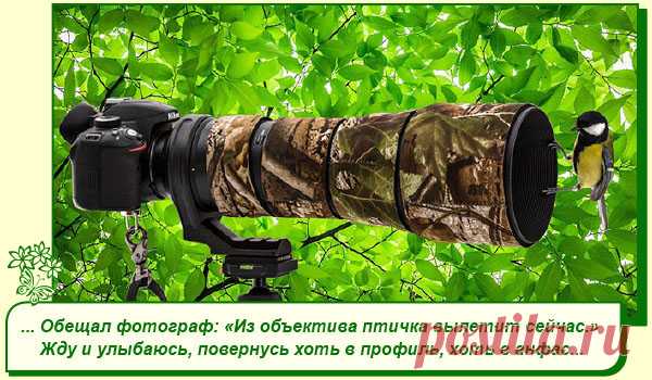 Хорошего Вам настроения.