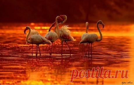 Мой Мир@Mail.Ru