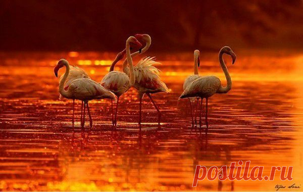 Мой Мир@Mail.Ru