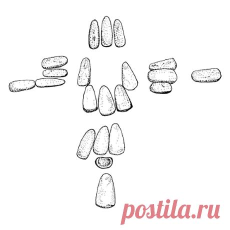 Зеркала Ольмеков