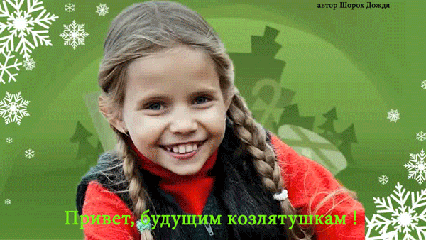s-41156.gif (600×338)
