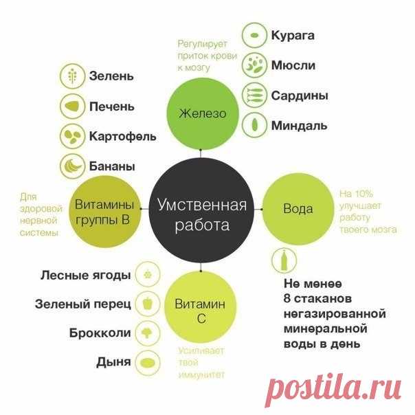 Пища необходимая организму