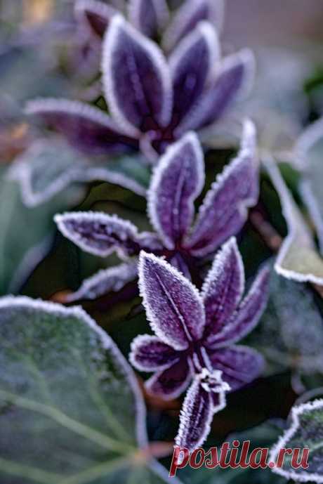 (163) Pinterest