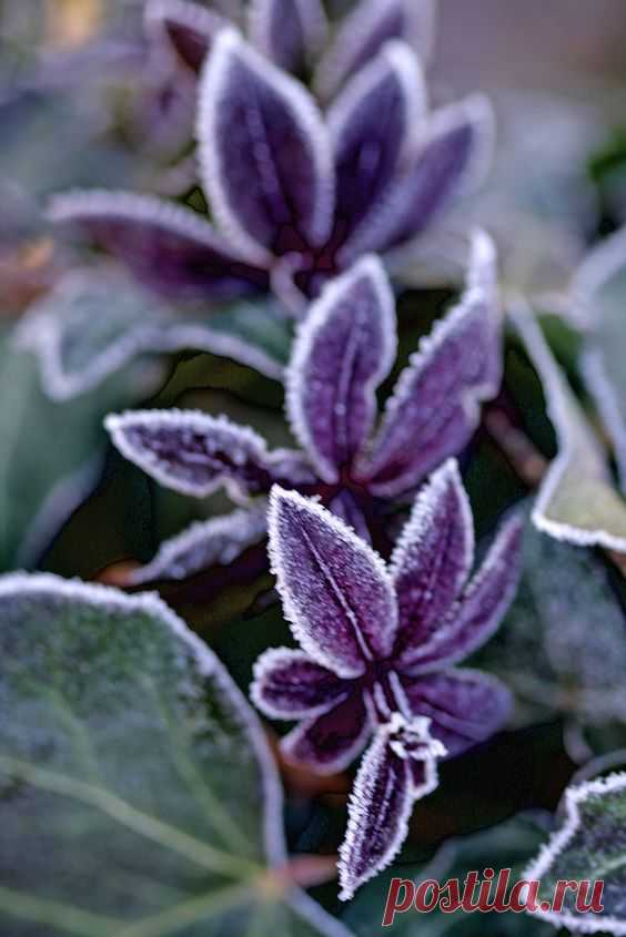 (163) Pinterest