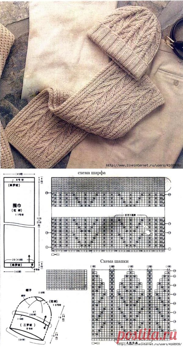 Мужская шапка и шарф