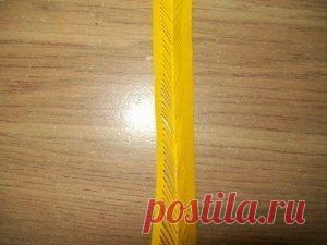 Астры из офисной бумаги.